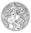 head of unicorn in flowers round coloring vector image