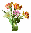 flower bouquet floral bunch tulips vector image