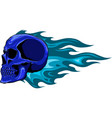 colored draw of human skull vector image vector image