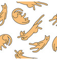 cats seamless pattern vector image