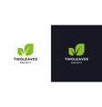 leaf logotype template positive and negative vector image vector image