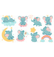 dreaming elephant baby elephants sleep on cloud vector image