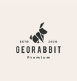 rabbit hare bunny origami stone hipster vintage vector image