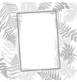 background with drawing herbs and flowers vector image