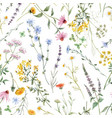 beautiful floral seamless pattern vector image vector image