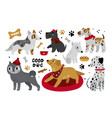 cute cartoon dogs different pet breeds funny vector image vector image