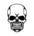 skull head clipart outline vector image vector image
