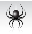 spider vector image vector image