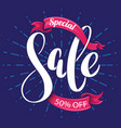 special sale lettering banner vector image vector image