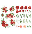 red floral bouquet burgundy rose flower vintage vector image