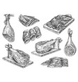 spanish jamon leg on stand and ham meat slices vector image
