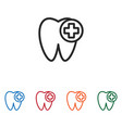 tooth and plus icon vector image