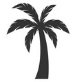 exotic beach palm black icon jungle tree vector image vector image