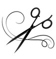 hairdresser scissors and curl hair vector image