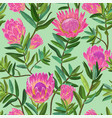 floral seamless pattern with protea flowers vector image vector image