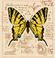 banner with drawing of a swallowtail butterfly vector image