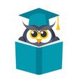 education icon vector image
