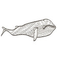 whale coloring for adults vector image vector image