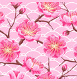 seamless pattern with sakura or cherry blossom vector image