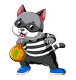 cartoon cat thief dressed in dark mask holding vector image