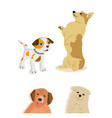 dogs set vector image