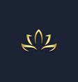 lotus flower gold logo vector image vector image