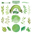 watercolor green decor branches floralpetal set vector image