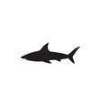 shark vector image vector image