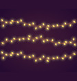 christmas lights for decoration vector image