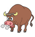 angry bull vector image vector image