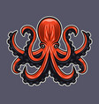 octopus colored isolated vector image