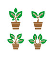 green plant logo design vector image vector image