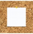 sheet of paper into a cell on cork board vector image