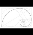 Fibonacci spiral golden ratio Royalty Free Vector Image