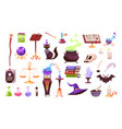 magic tools wizards equipment and animals vector image