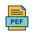 pef file document icon vector image vector image