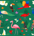 tropical birds exotic parrot or flamingo vector image vector image