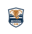 hunting club badge of african elephant vector image