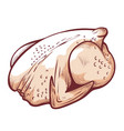 chicken meat raw carcass poultry for cooking vector image vector image