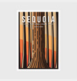 sequoia national park poster design vector image