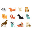 dogs - collection funny vector image