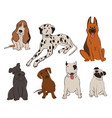 collection dog breeds icons vector image