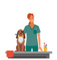 dog brushing in the salon isolated vector image vector image