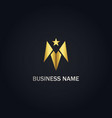 star arrow abstract gold logo vector image vector image