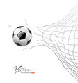 soccer ball through net isolated vector image