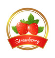 strawberry jam label berries marmalade jar vector image