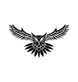 owl logo - emblem design on w vector image vector image