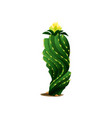 cactus with yellow flower isolated prickly plant vector image