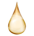 oil drop transparent golden brown of serum vector image