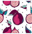 modern botanical pomegranate fruit surface design vector image